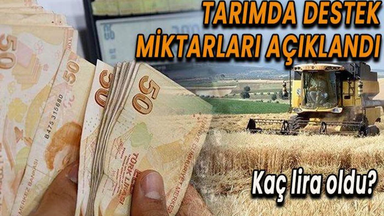 Tarım destekleri Resmi Gazete’de yayınlandı