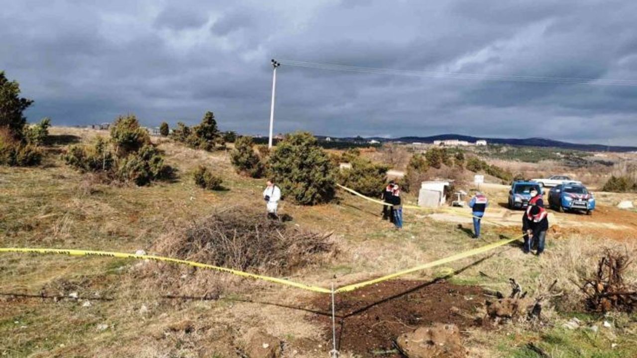 Kütahya’da ölü bulunan köpekler ile ilgili soruşturma başlatıldı