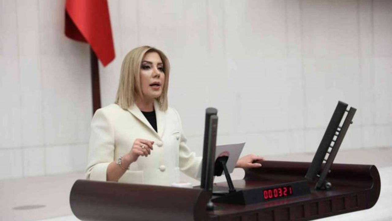 AK Partili Gökcan, çimento fabrikasına ruhsat verilmesini eleştirdi