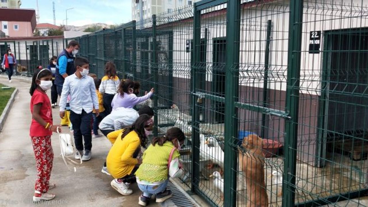 Sincan Belediyesi Hayvan Barınağına Sokak Hayvanları Günü’nde Yoğun İlgi