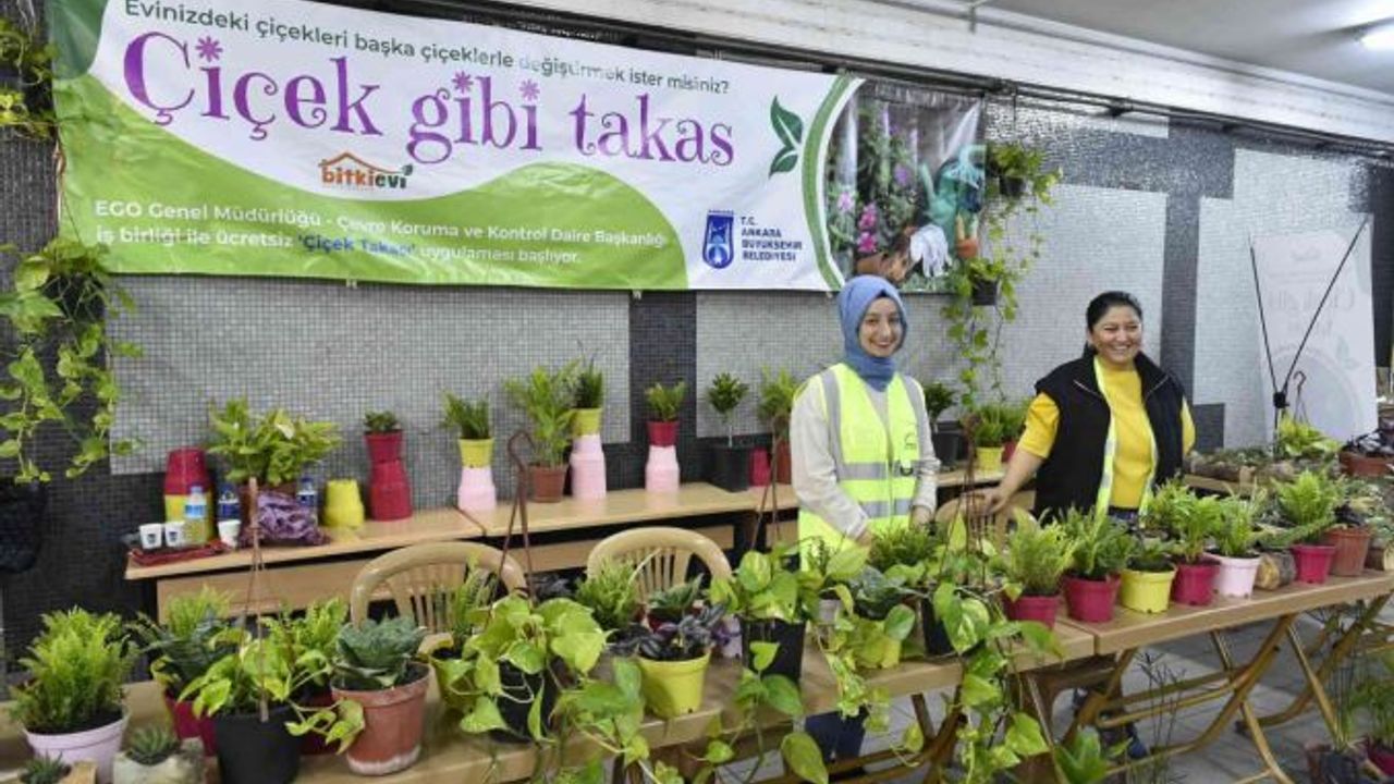 Ankara'da ücretsiz takas ve bakım hizmeti başladı