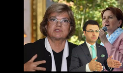 Yeni Dünya Partisi Baş Lideri Emanullah GÜNDÜZ  "Tansu Hanım Meral Akşener'e alternatif çıkarılıyor ikisi de Masonik çevrenin ürünü!"