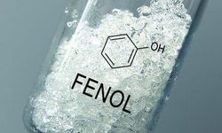 Fenol nedir?