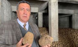 Bir bu eksikti! Şimdi de patates kanseri patlak verdi, 26 ilde karantina uygulanıyor