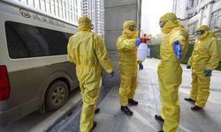 H3N8 virüsü nedir, nasıl bulaşır? Çin'de çıkan yeni virüs H3N8 kuş gribi belirtileri