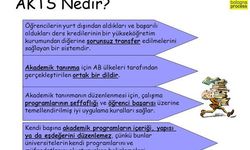 Akts Nedir, Ne İşe Yarar? Akts'nin Açılımı Nedir Ve Nasıl Hesaplanır?