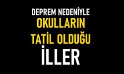 Deprem nedeniyle okulların 1 hafta tatil edildiği iller: