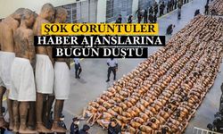 Şok fotoğraflar haber ajanslarına düştü