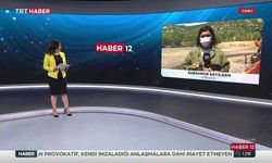 Nihan Koyuncu Yontar Kimdir? TRT haber Hafta sonu haber sunucusu kimdir? TRT Haber gece haber sunucusu kimdir?