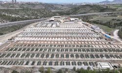 Ankarada Sokak Hayvanlarına Avrupa Birliği Standartlarında Merkez
