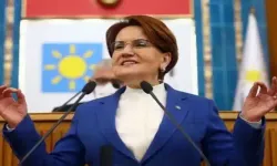 İYİ Parti'den Akşener'e istifa çağrısı: 'Bahar gelmedi'