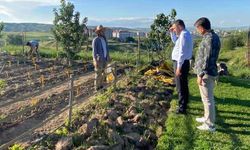 Pursaklar’da Ata Tohumları Ata Bahçesinde Toprakla Buluştu