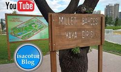 Başkent Millet Bahçesine Nasıl Gidilir? Ücretsiz Otopark Alanı Nerede?