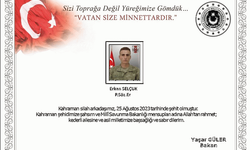 Son Dakika: Pençe-Kilit Operasyonu bölgesinde bir asker şehit oldu!