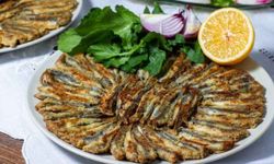 Ankaralıların büyük bir heyecanla beklediği festival yarın başlıyor!