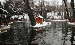  Başkentliler dikkat Meteoroloji hava tahminlerini paylaştı! Ankara'da bu hafta hava nasıl olacak? 