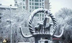Ankaralılar dikkat! Yarından itibaren kar yağışı başlıyor