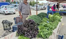 Sincan'da Üretici Köylü Pazarları 4 Noktada Hizmette 