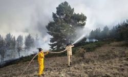 Ankara-Bolu Sınırında Orman Yangını: Bir Şüpheli Gözaltında