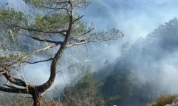 Hatay'da Orman Yangınında 23 Saat Geride Kaldı: Yangınla Mücadele Sürüyor!