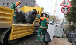 Çankaya'da sonbahar temizliği