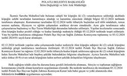 Ankara Polatlı'da kuduz vakası!