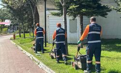 Çankaya'nın parklarında yoğun yaz mesaisi