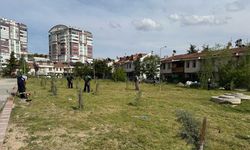 Yenimahalle’de bahar temizliği başladı