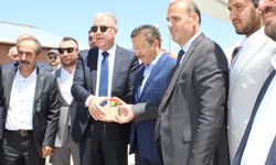 Altındağ’da sokak hayvanları için dev proje