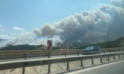 Aynı gün 3 yangın: Çanakkale’de şüpheli araç aranıyor!