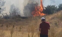 Ankara'da orman yangınına neden olan şüpheli yakalandı