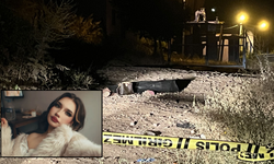Aydın’da ormanda vahşet: Üniversite öğrencisi teslime başından vurulmuş halde bulundu