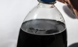Ankara’da kola şişesinden ölü arı çıktı