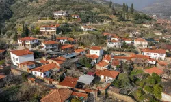 AYM: Nüfusu 2 binin altına düşen belediyelerin köye dönüştürülmesi Anayasa’ya uygun