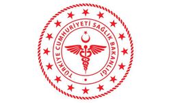 Hantavirüslü Gemiden Gelen 3 Türk Vatandaşının Testi Negatif Çıktı