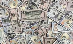 Döviz Piyasalarında Yükseliş Eğilimi: Dolar 46,08 TL Seviyesinde