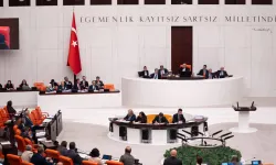 Suça Sürüklenen Çocuk Yasası TBMM'de Kabul Edildi