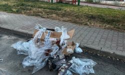 Başkent'e Yakışmayan Görüntü: Osmanlı Parkı'nın Son Hali