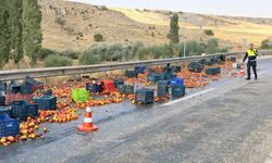 Kazadan Geriye Tonlarca Şeftali Kaldı