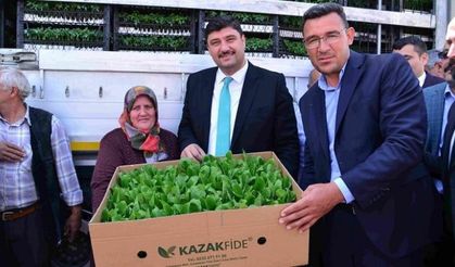 Kahramankazan Belediyesi çiftçiye 1 milyon 700 bin fideyi dağıtıyor