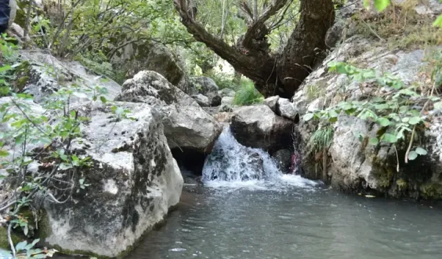 Oksijen Deposu Saklı Cennet: Mamak Kıbrıs Kanyonu