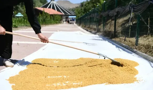 Mamak’ta Asırlık Gelenek Başladı: Bulgur Kaynatma Sezonu