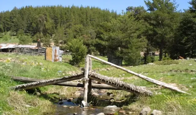 Ankara'daki Bu Yayla Yemyeşil Doğası ve Göletiyle Ziyaretçilerini Mest Ediyor