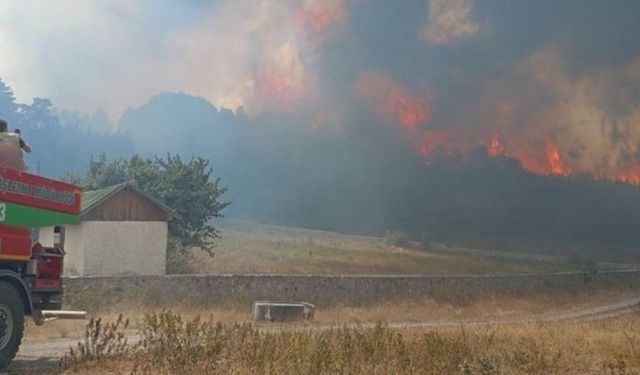 Kızılcahamam'daki Orman Yangını Bolu'ya Sıçradı: Ekipler Seferber Oldu