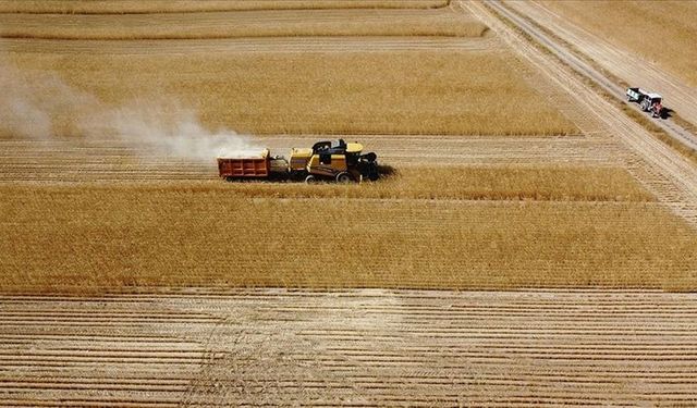 20 Eylül’e Kadar Başvurun: Tarımsal Destek Ödemeleri Yolda!