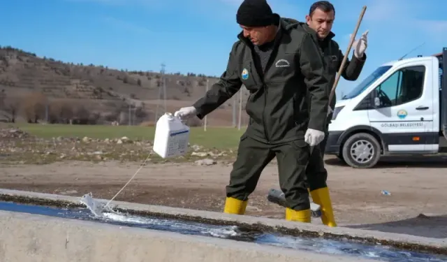 Gölbaşı Belediyesi kırsal mahallelerde sivrisinekle mücadele ediyor