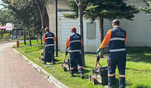 Çankaya'nın parklarında yoğun yaz mesaisi