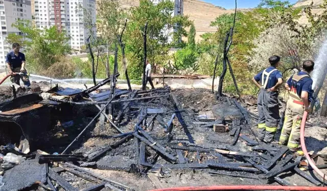 Ankara Mamak'ta Korkutan Yangın: 33 Kanatlı Hayvan Telef Oldu