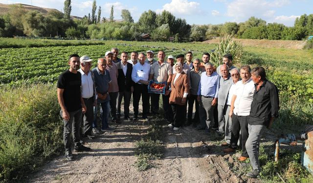 Fuat Oktay domates hasadında Ayaş’ta çiftçilerle buluştu