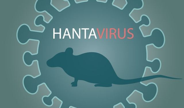 DSÖ Alarma Geçti: Hantavirüs Vakaları Yakın Takipte